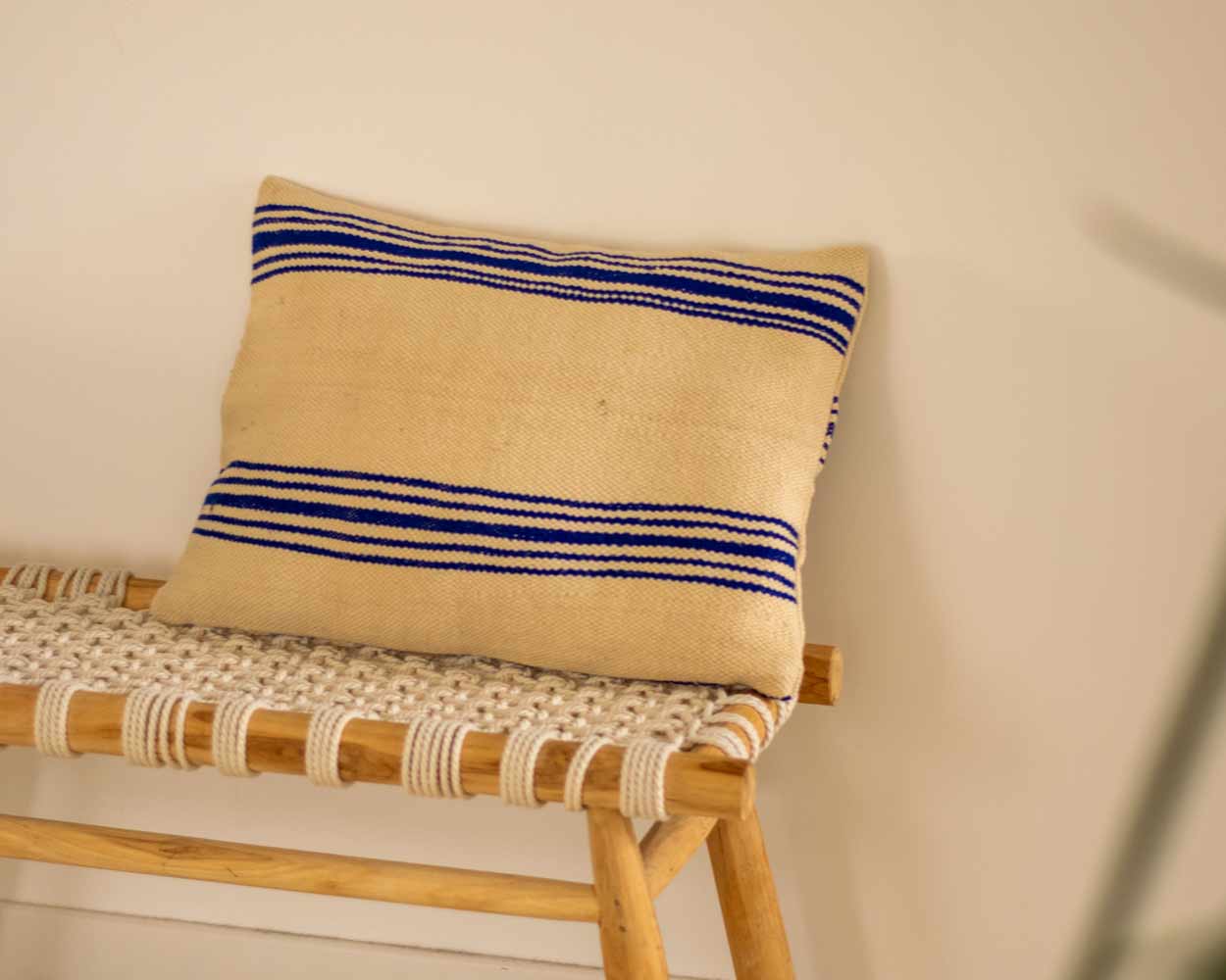 Blue striped cushion cover 