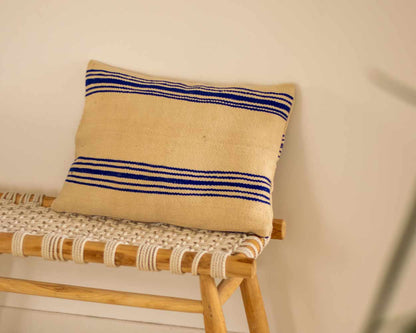 Blue striped cushion cover 